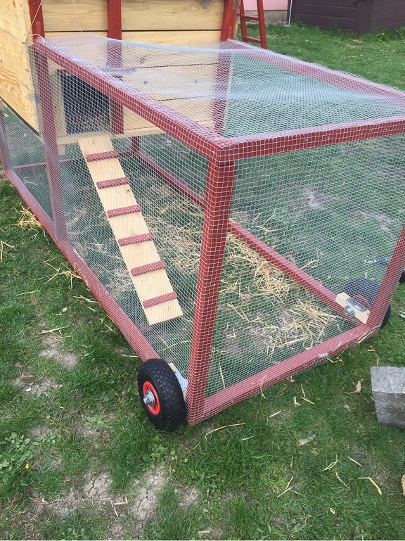 HOW TO DIY AFFORDABLE DESIGN CHICKEN COOP